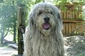 image_17_Sommer 2008 013